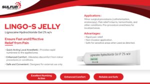 Lingo-S Jelly Lignocaine Hydrochloride 2% numbing gel pain relief gel fast pain relief 